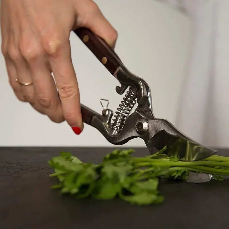 Hand-Forged Multipurpose Garden & Kitchen Shears Hand-Forged Multipurpose Garden & Kitchen Shears - Image 4