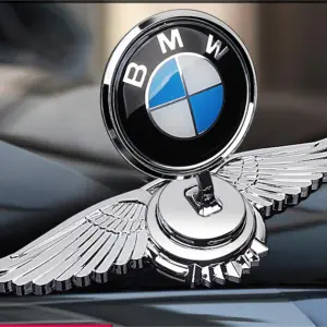 car modification decoration engine hood logo