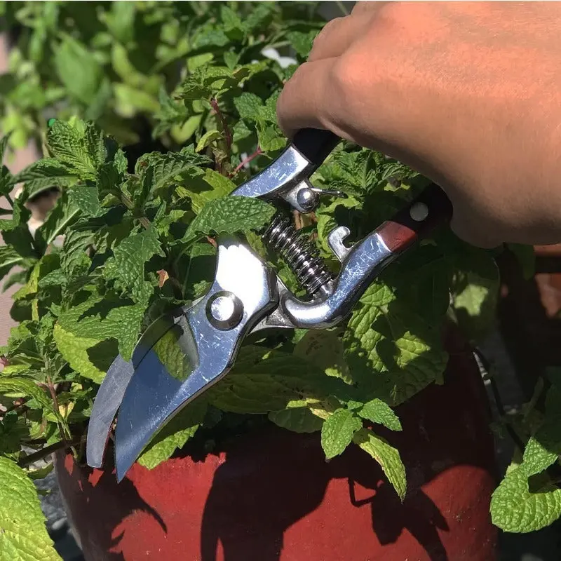 Hand-Forged Multipurpose Garden & Kitchen Shears Hand-Forged Multipurpose Garden & Kitchen Shears - Image 3